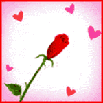 pic for red flower